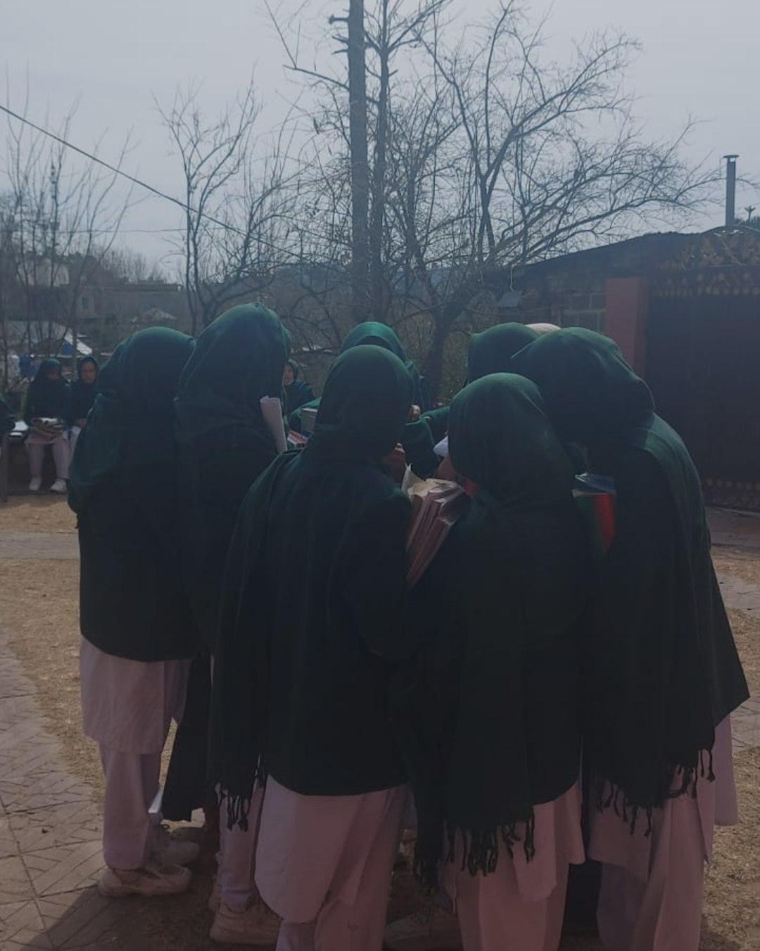 Untitled design (24)